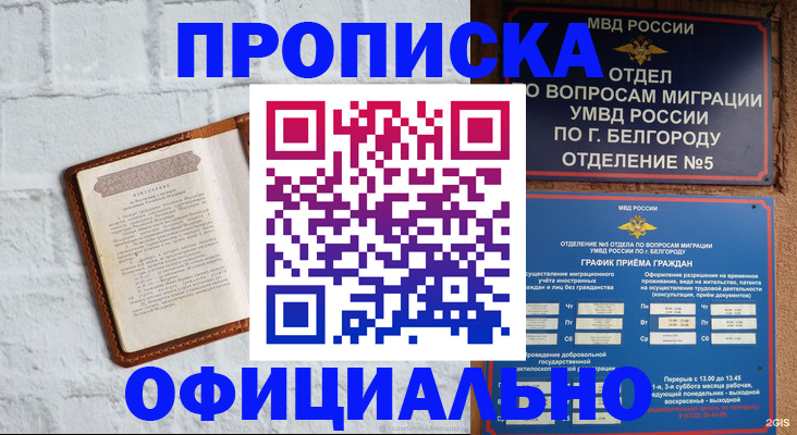 временная регистрация для школы в Сольцах