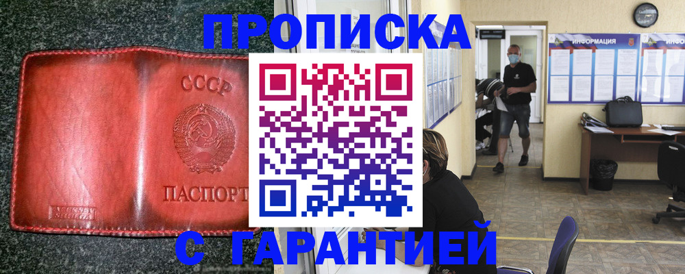 прописка гарантия в Сольцах
