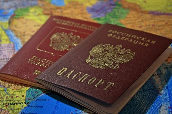 прописка в Сольцах